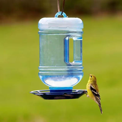 Water Cooler Hanging Bird Waterer 48 OZ