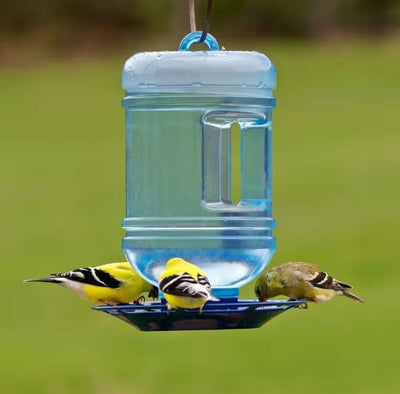 Water Cooler Hanging Bird Waterer 48 OZ