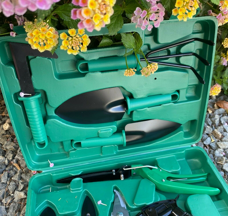 11 Pcs Garden Tool Set Vegetable Flower Gardening Hand Tools Kit with Carrying Case