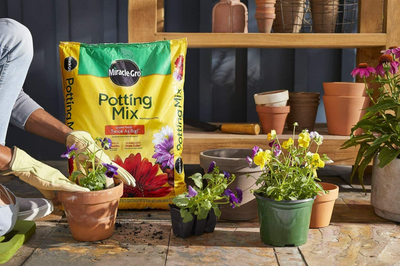 Miracle-Gro Garden Potting Mix for Plants 16 Quart Bag